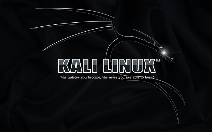 Kali Linux logo, text, western script, studio shot, black background
