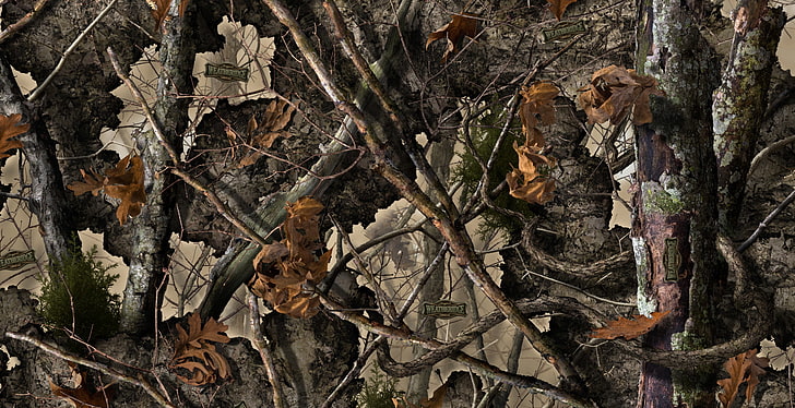 camouflage, Woodland Camouflage, tree, plant part, leaf, nature