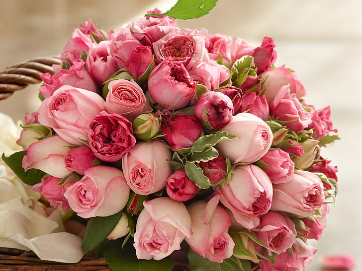 4320x900px | free download | HD wallpaper: Pink rose flowers, beautiful  bouquet | Wallpaper Flare