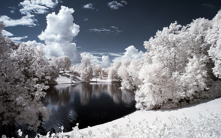 nature, landscape, lake, trees, infrared