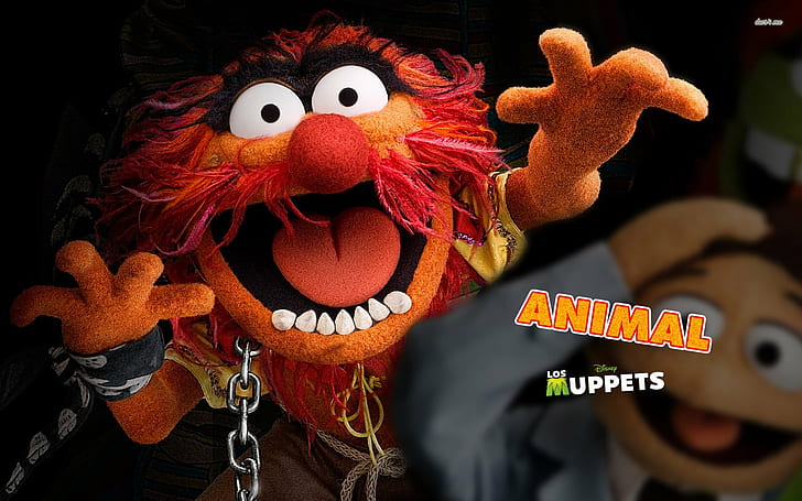 animal-the-muppets, HD wallpaper