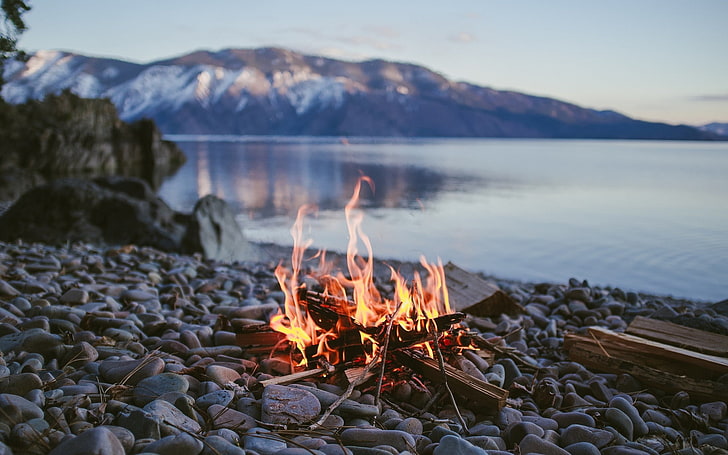 brown firewood, campfire, lake, stones, depth of field, nature, HD wallpaper