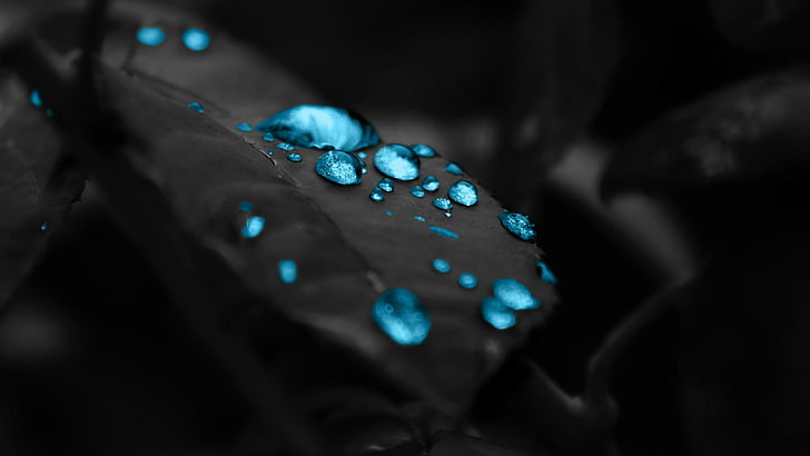water, macro photography, close up, drop, turquoise, darkness, HD wallpaper