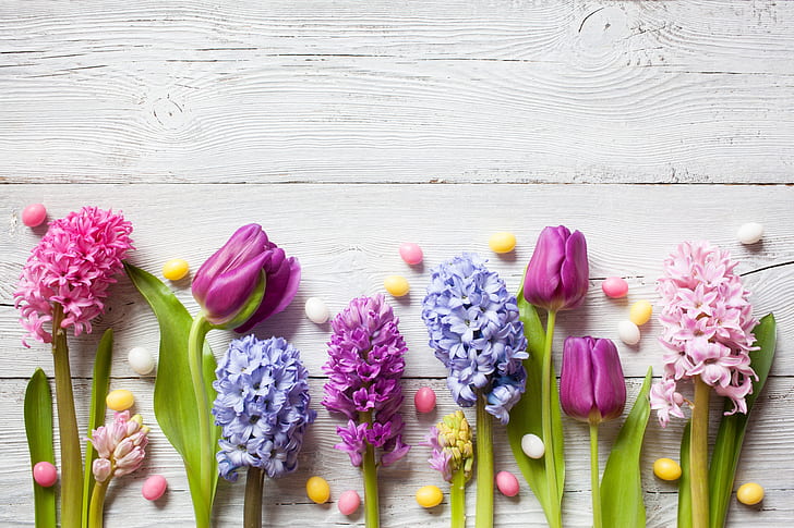flowers, spring, colorful, Easter, crocuses, tulips, wood, daffodils