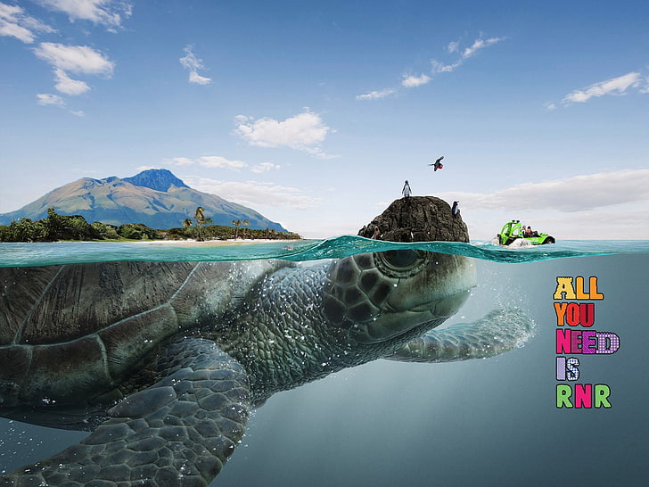 black sea turtle with text overlay, split view, photo manipulation