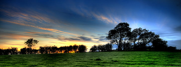 green grass field near forest, Newby, twilight, Yorkshire  North