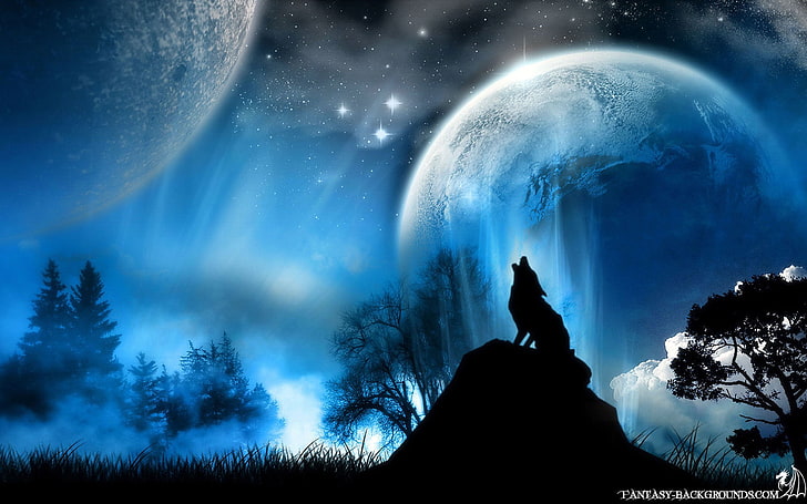 wolf, vector, silhouette, one person, space, night, nature, HD wallpaper