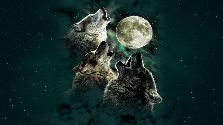 digital art, wolf, Moon, animal, group of animals, animal themes