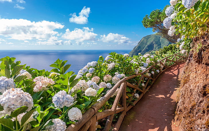 flowers, mountains, the ocean, track, Azores, Sao-Miguel, Acores, HD wallpaper
