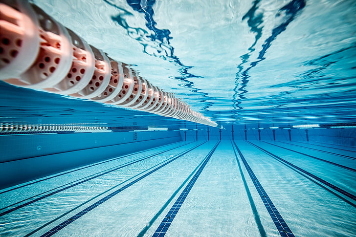 underwater photography of swimming pool, sports, tiles, lines