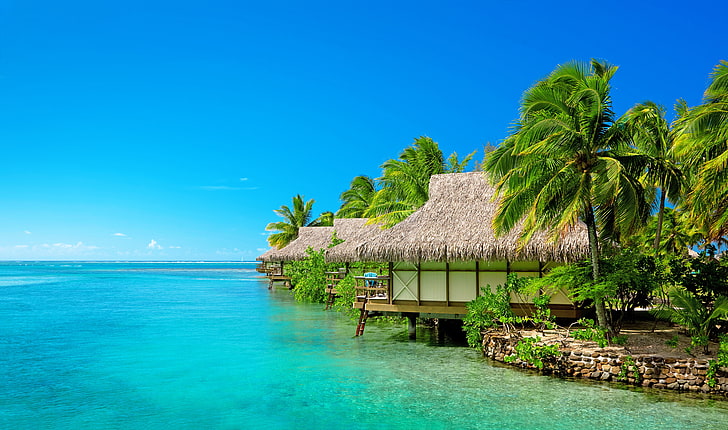 coconut trees, sea, beach, the sky, palm trees, the wind, The Maldives