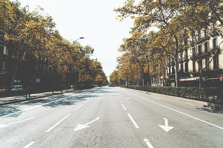 gray concrete road and green trees, street, city, marking, urban Scene, HD wallpaper
