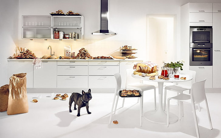 HD wallpaper: round white wooden 5-piece dining set, bulldog, kitchen, food  | Wallpaper Flare