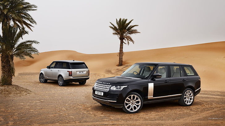 Range Rover, palm trees, car, vehicle, motor vehicle, mode of transportation