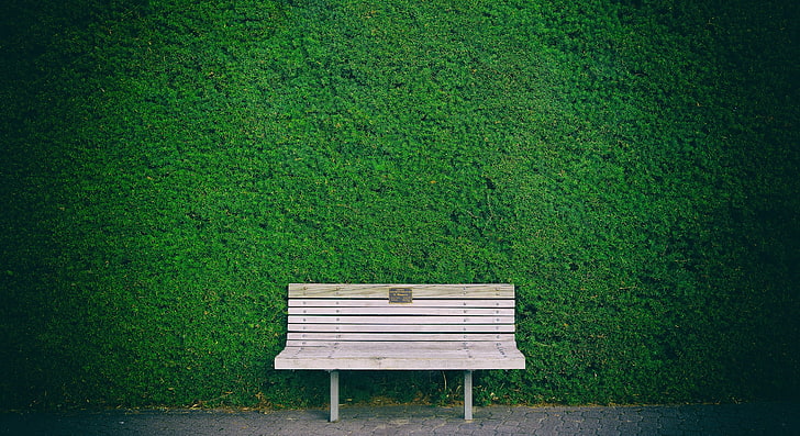 brown wooden slatted bench, green, minimalism, seat, plant, green color, HD wallpaper
