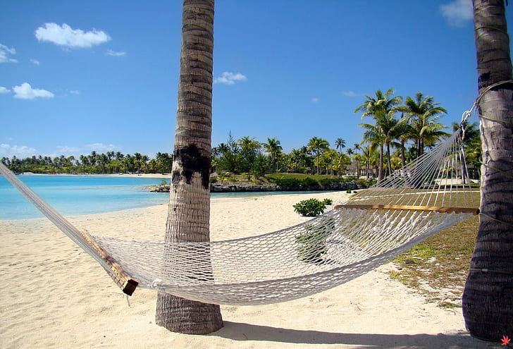 HD wallpaper: Beach Hammock Hawaii, island, relax, tropical, lagoon ...