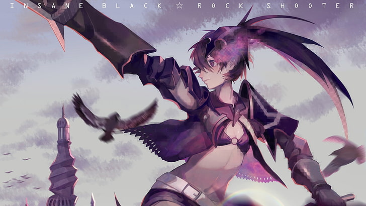 purple haired female anime character illustration, Black Rock Shooter, HD wallpaper