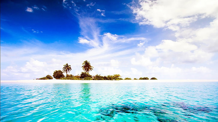 island with coconut wallpaper, sea, Dhiggiri Island, Maldives, HD wallpaper