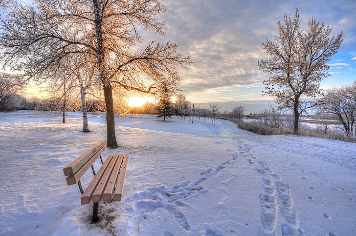 brown wooden bench, winter, snow, dawn, footprints, cold - Temperature