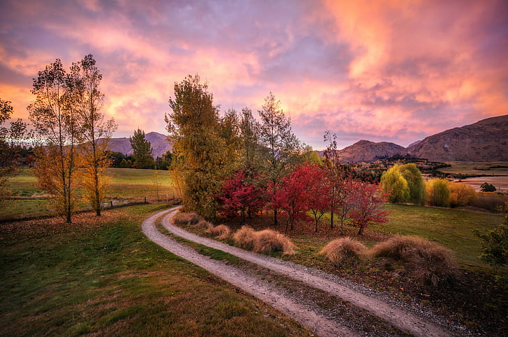 view of trees and road during sunset, queenstown, queenstown, HD wallpaper