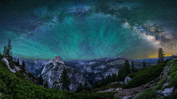 phenomenon, northern lights, tree, night, california, night lights, HD wallpaper