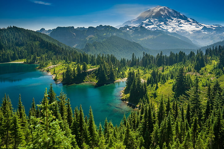 green pine trees, forest, mountains, lake, Mount Rainier, The cascade mountains