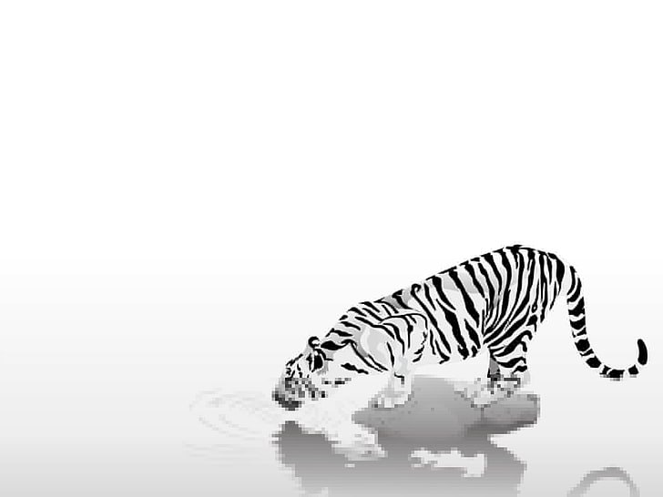 tiger drinking water sketch, animals, easy, strips, black & white, HD wallpaper