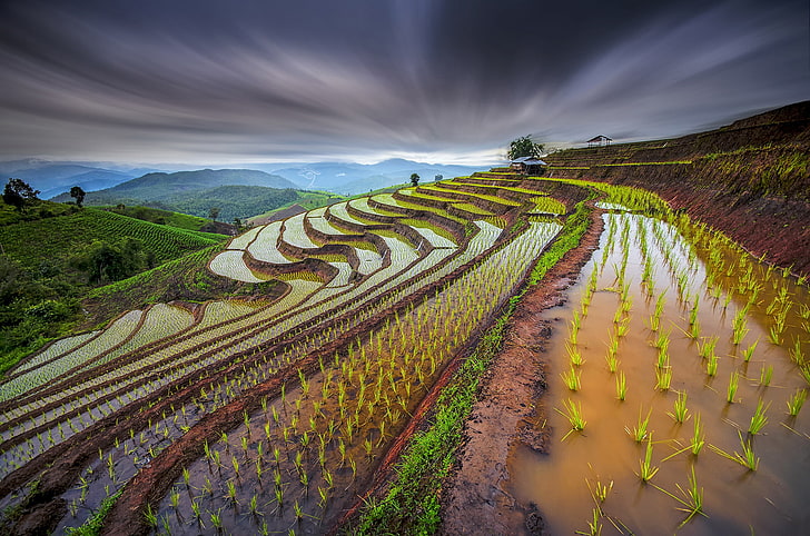 rice terraces, the sky, water, sprouts, the slopes, excerpt, Thailand, HD wallpaper