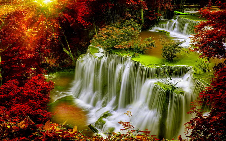 Cascade Falls-Autumn-forest-red leaves-sunlight-Desktop HD Wallpaper for Mobile phones-Tablet and PC-2560×1600, HD wallpaper