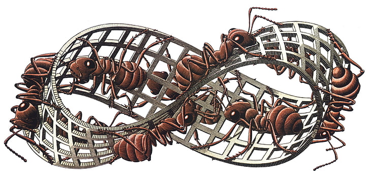 3d, ants, artwork, Grid, insect, M. C. Escher, Mobius Strip