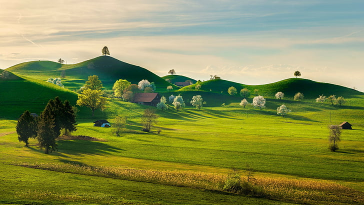 HD wallpaper: springtime, landscape, grassland, nature, pasture, highland |  Wallpaper Flare