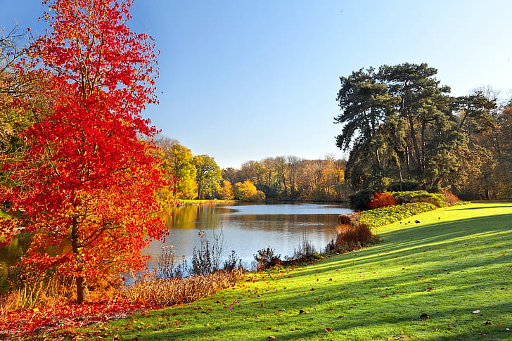 Fall season park, Autumn, landscape, Lake, tree, HD wallpaper