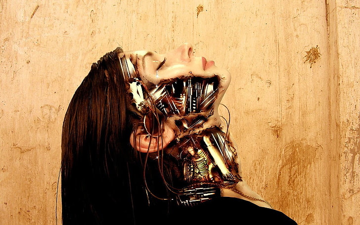 woman with robotic skin artwork, Terminator, Terminator: The Sarah Connor Chronicles, HD wallpaper