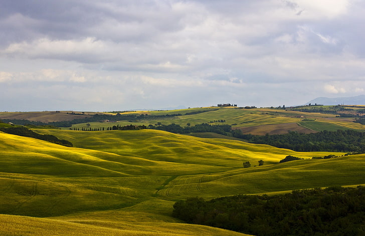 green grass field, fields, italy, montalcino, tuscany, nature, HD wallpaper