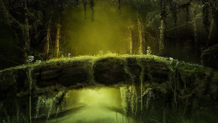 twilight, moss, jungle, green, forest, rainforest, HD wallpaper