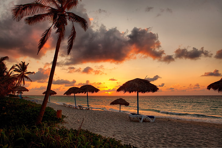 sea, beach, palm trees, tropical, Sun, sky, water, sunset, land, HD wallpaper