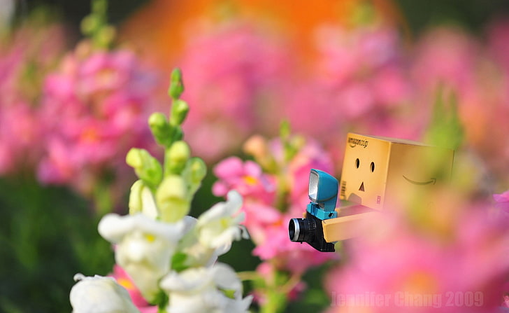 Hd Wallpaper Danbo Lost In The Flower Sea White And Pink Flowers Aero Wallpaper Flare