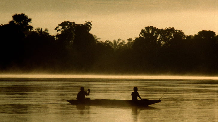 river, jungle, silhouette, canoes
