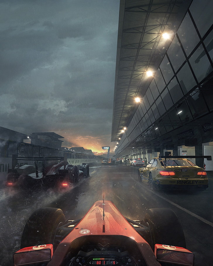 gray vehicle wallpaper, Project cars, video games, poster, artwork