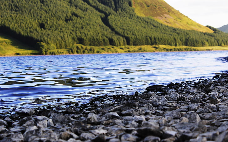 gray stone lot, Scotland, nature, landscape, lake, depth of field