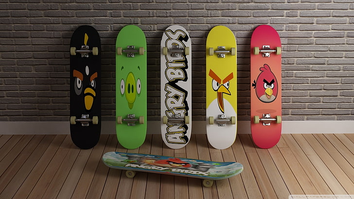 HD wallpaper: funny skateboards skates angry birds Animals Birds HD Art |  Wallpaper Flare