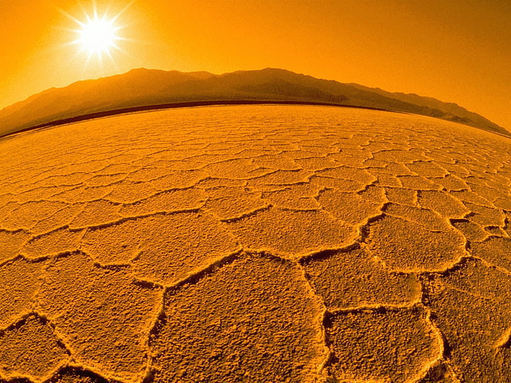 brown field, desert, drought, sun, heat, day, earth, nature, dry, HD wallpaper