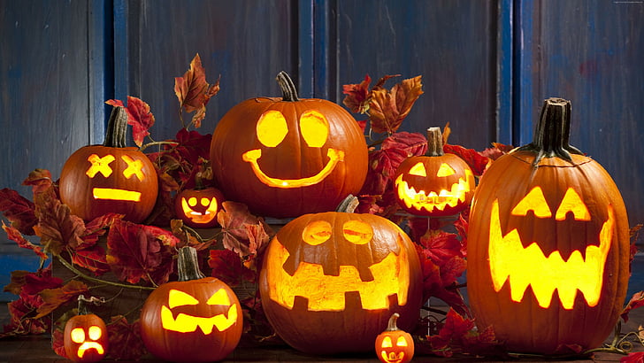 HD wallpaper: halloween, pumpkin, calabaza, decoration, cucurbita, jack o  lantern | Wallpaper Flare