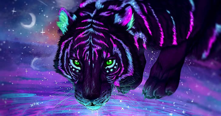 African, tiger, animals, head, sky, space, illustration, decoration, HD wallpaper
