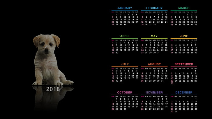 2018 calendar, puppies, dog, studio shot, technology, black background, HD wallpaper