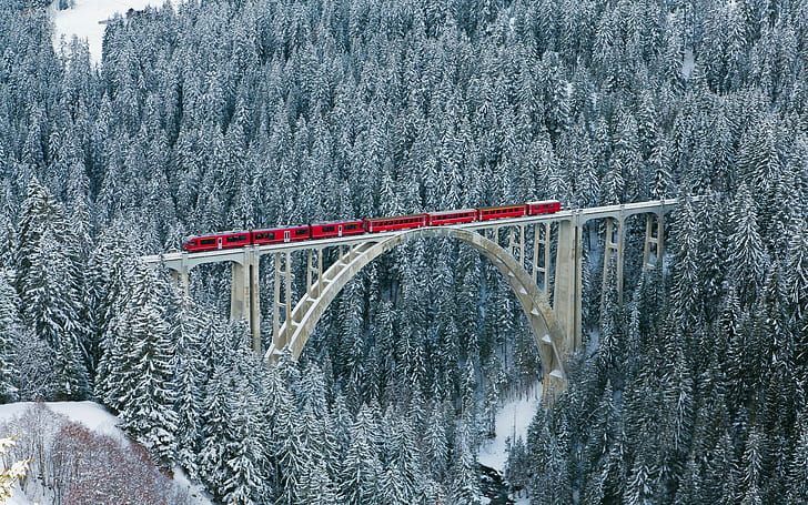 train, winter, cold, Switzerland, landscape, bridge, forest, HD wallpaper