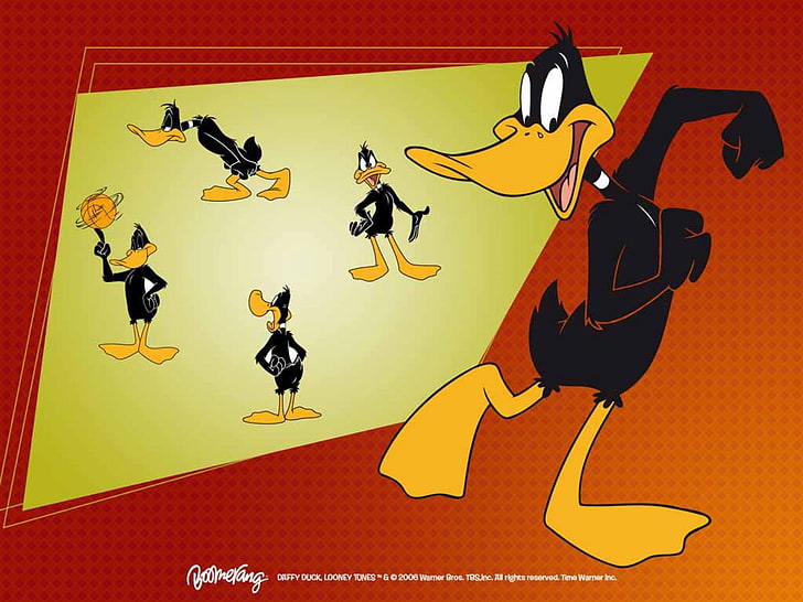 HD wallpaper: daffy, looney, toons