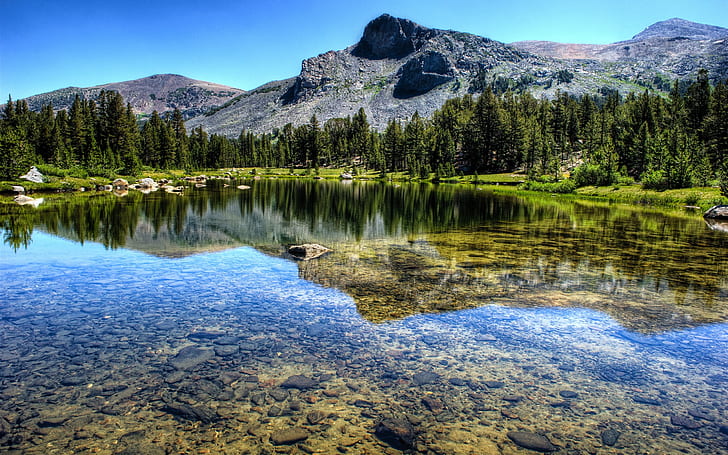 Mountain, forest, river, lake, Yosemite National Park, HD wallpaper