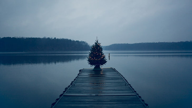 brown wooden dock, Christmas Tree, pier, lake, nature, landscape, HD wallpaper