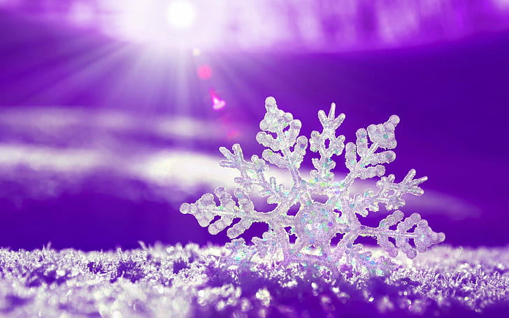 close up photo of snowflake against sunlight, holiday, New Years, HD wallpaper